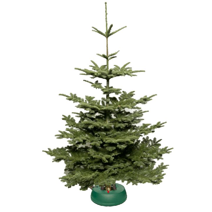 Sapin de Noël NOBILIS avec pied avec réservoir d'eau