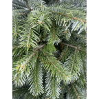 Sapin naturel Nordmann - Epines