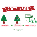 Adopte un sapin naturel NORDMANN en pots - 1M