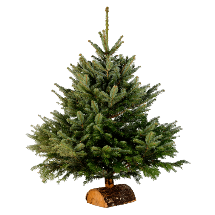 Bûche/Pied de sapin de Noël en bois - Avec Sapin (Livré sans)
