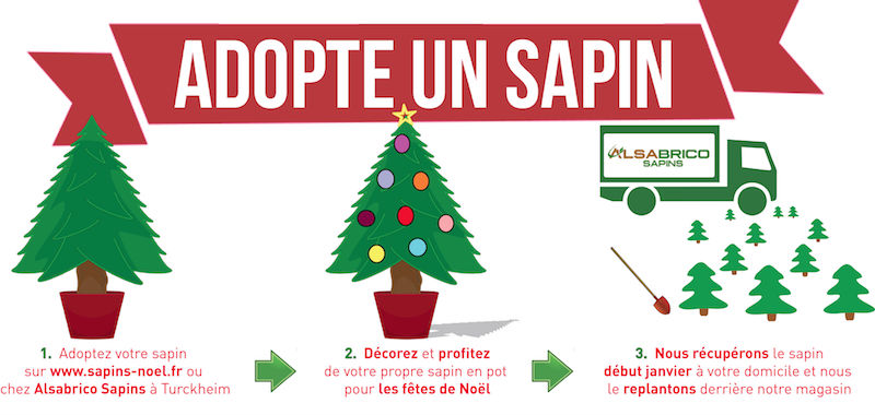 ADOPTE UN SAPIN - CONCEPT