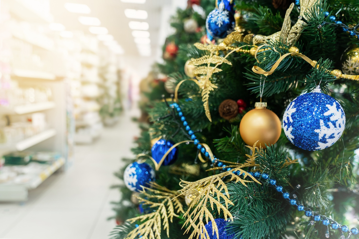 Vente de sapins de Noël pour magasins