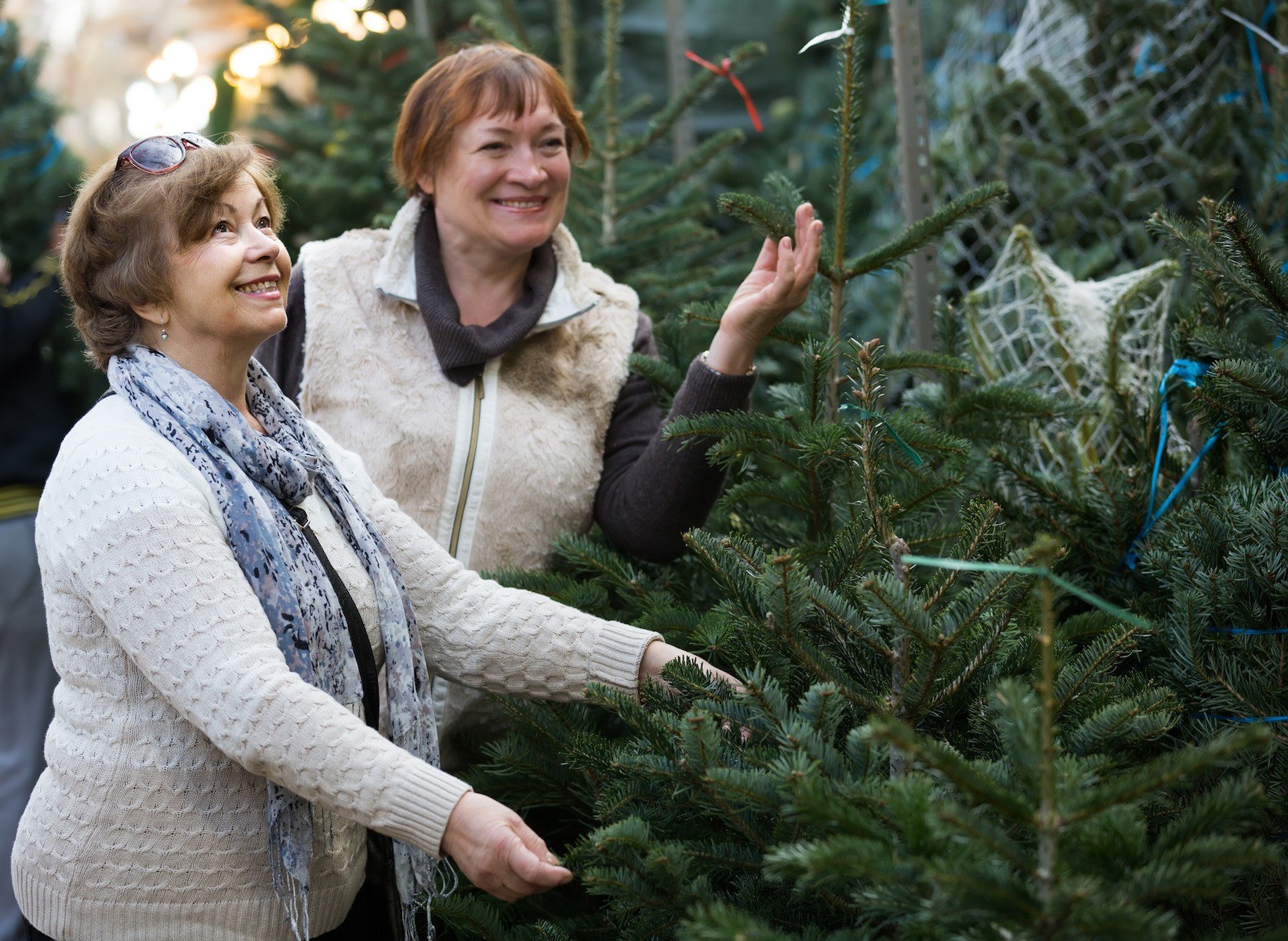 Vente de sapins de Noël pour les entreprises et CE