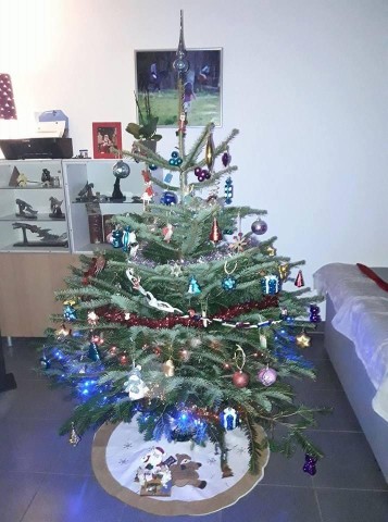Boules bleues, rouges et dorées, jupe blanche au pied. — Sapin Nordmann naturel