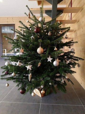 Étoiles blanches, boules bordeaux et beiges. — Sapin Nordmann naturel